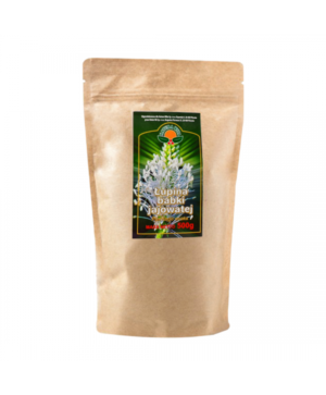 lupina-babki-jajowatej-500g ŁUPINA BABKI JAJOWATEJ 500g Natura Wita
