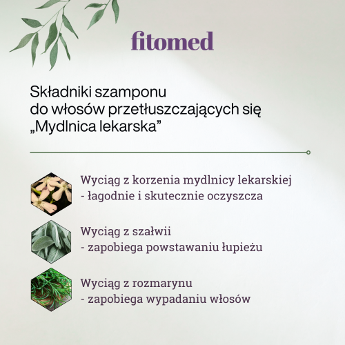 fitomed-szampon-mydlnica-lekarska-naturalny-sklad Szampon Ziołowy Włosy Przetłuszczające się 250ml Fitomed