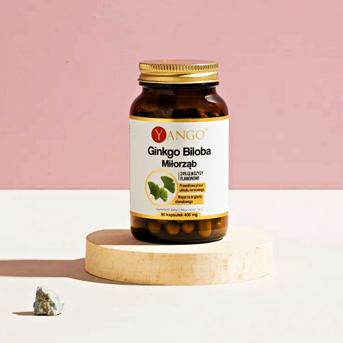 gingko Ginkgo Biloba Miłorząb Ekstrakt 90kaps. YANGO