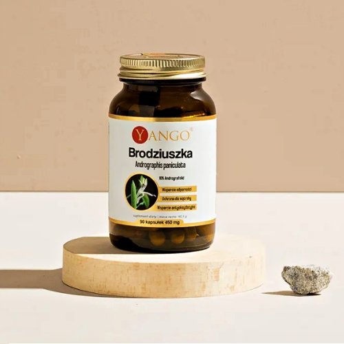 brodziuszka. Brodziuszka Andrographis 90kaps. YANGO