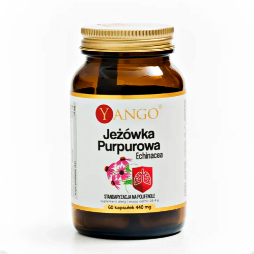 jeżówka purpurowa ekstrakt Jeżówka Purpurowa Ekstrakt 60kaps. YANGO