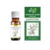 Olejek Eteryczny Naturalny Kajeputowy 10ml ETJA