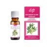 Olejek Eteryczny Naturalny z Drzewa Herbacianego 10ml ETJA